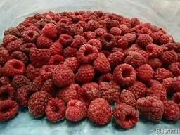 Замороженные овощи и ягоды